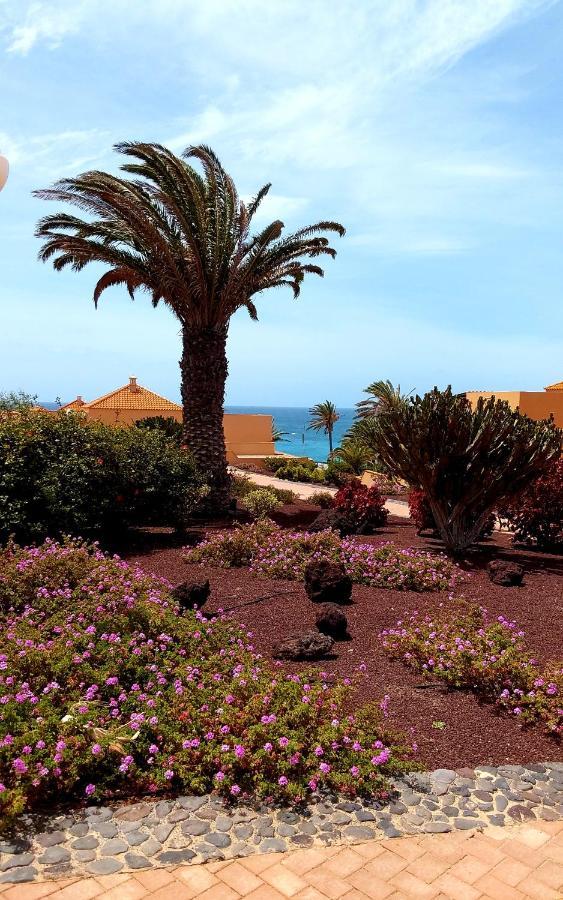 Apartamento Grani Mar Costa Calma Exterior foto